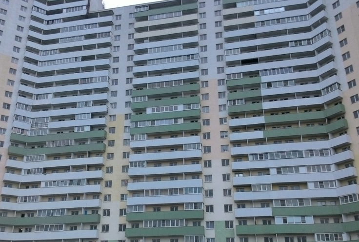 Шушары, д. 33.1