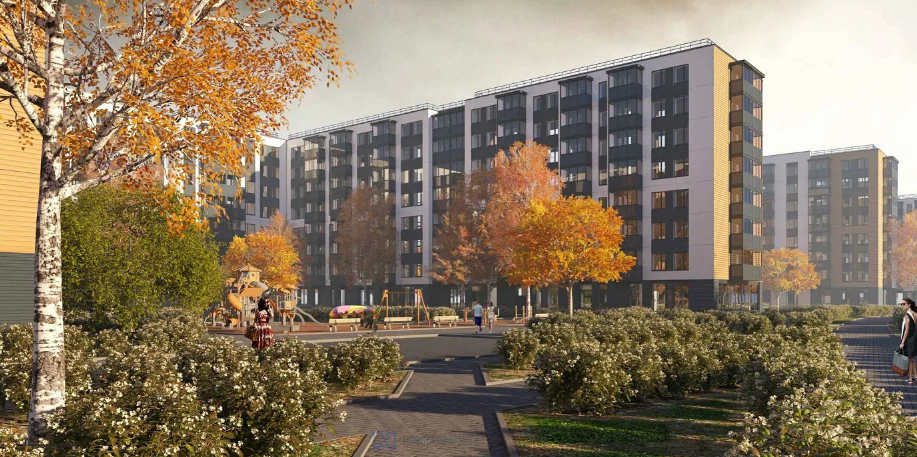 Master Заневка (Мастер Заневка)