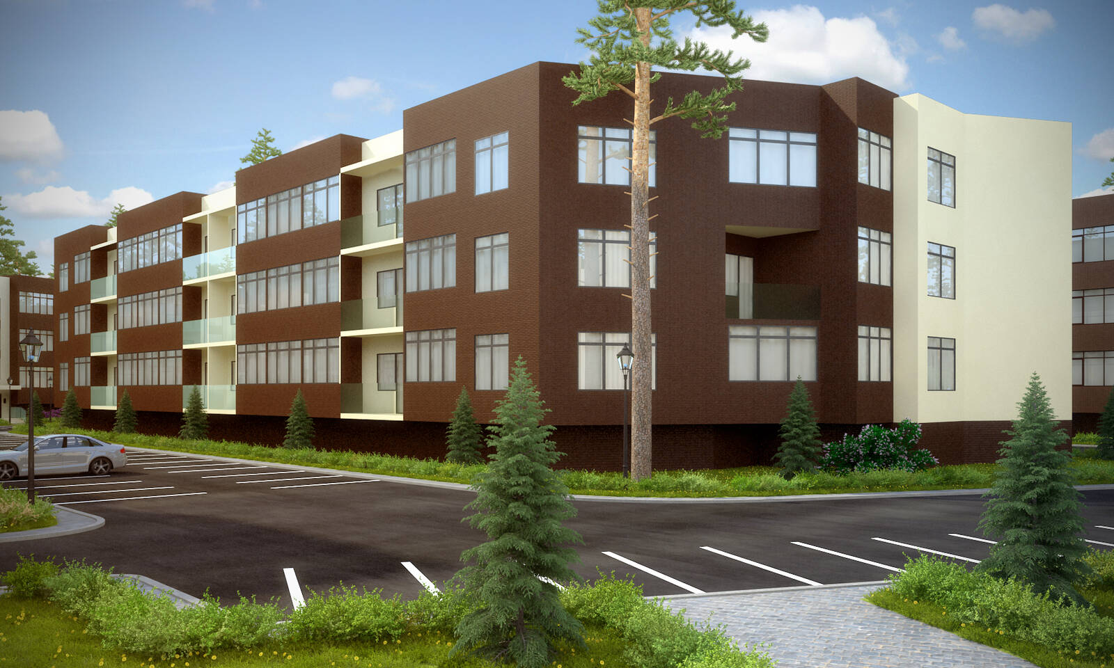 Черничная поляна